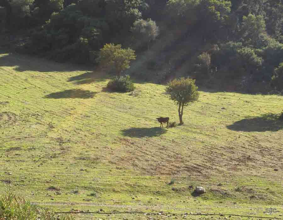 Scorcio della vallata di Su de Musu